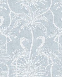 Biscayne Sky Blue by   