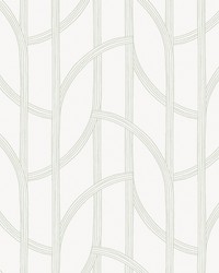 Salvo Light Green by   