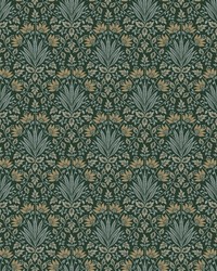 Woodbury Evergreen by   