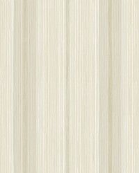Ames Beige by   