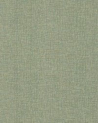 Beau Green Wide Width by   