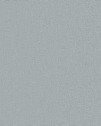 Cary Light Blue Wide Width by   