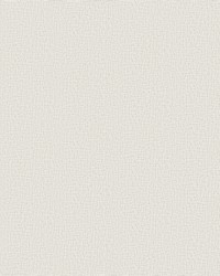 Cary White Wide Width by   