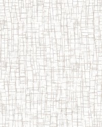 Rian Grey Wide Width by   