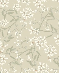 Paradis Beige by   