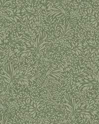 Kristina Evergreen by   