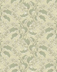 Syren Light Green by   