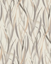 Willoughby Neutral by   