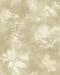 Izara Light Green by   