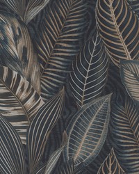 Acacius Dark Blue by   