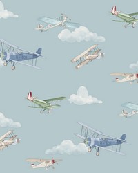 Aeroplanes Blue by   