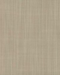 Double Basket Weave Wallpaper Taupe by   