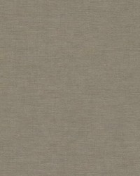 Trapunto Texture Wallpaper Brown by  York Wallcovering 