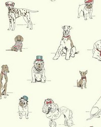 Dogs Life Wallpaper red blue by   