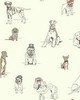 York Wallcovering Dogs Life Wallpaper red/blue