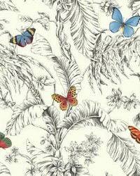 Papillon Wallpaper red blue green yellow black by   