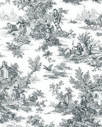 Champagne Toile Wallpaper black white by   