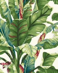 Banana Leaf Wallpaper AT7068 by   