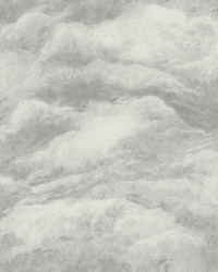 Nimbostratus Pewter by   