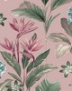 York Wallcovering Oliana Pink