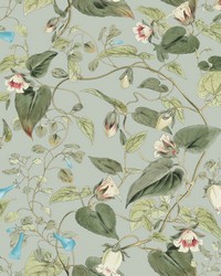 Dove Moon Flower Wallpaper by   