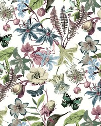 White and Fuchsia Butterfly House Wallpaper by   