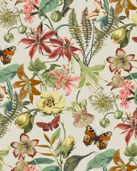 Light Taupe and Coral Butterfly House Wallpaper by   