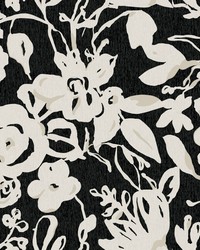 Black Brushstroke Floral Wallpaper by  Alexander Henry 