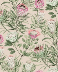 Blush Protea Wallpaper by   