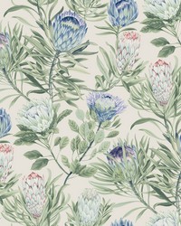 Cream and Blue Protea Wallpaper by   