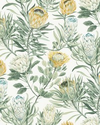 White and Yellow Protea Wallpaper by   