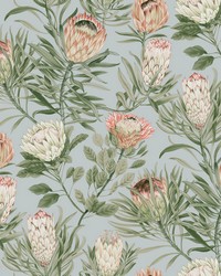 Dusty Blue and Coral Protea Wallpaper by   