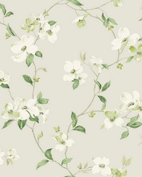 Light Grey Dogwood Wallpaper by   