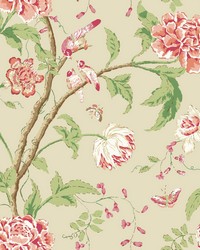 Cream and Coral Teahouse Floral Wallpaper by   