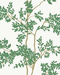 White and Green Lunaria Silhouette Wallpaper by   