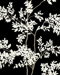 Black and White Lunaria Silhouette Wallpaper by   