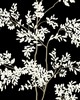 York Wallcovering Lunaria Silhouette Black & White