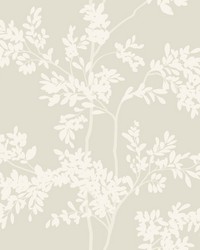 Light Taupe and White Lunaria Silhouette Wallpaper by   