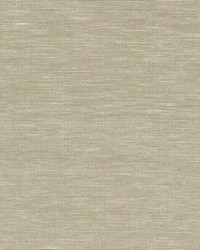 Paper and Thread Weave Wallpaper Cream by   
