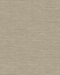 Paper and Thread Weave Wallpaper Beige by   