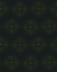 Starlight Wallpaper Black Gold by   