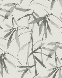 Bamboo Ink Wallpaper Cream Gray by   