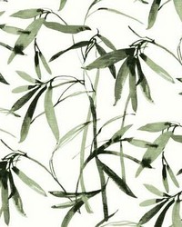 Bamboo Ink Wallpaper Black White by  Warner 