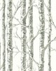 York Wallcovering Paper Birch Wallpaper White/Gray