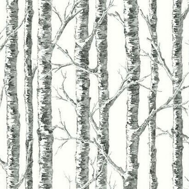 York Wallcovering Paper Birch Wallpaper Black White Wallpaper