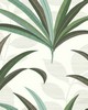 York Wallcovering El Morocco Palm Wallpaper White/Off Whites