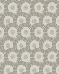 Coco Bloom Wallpaper White Off Whites by   