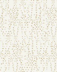 Star Struck Wallpaper Cream Gold by   
