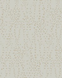 Star Struck Wallpaper Gray Gold by   