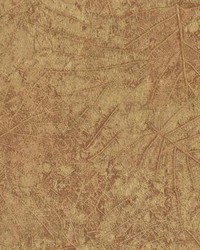 Tossed Leaves Wallpaper Browns by  York Wallcovering 